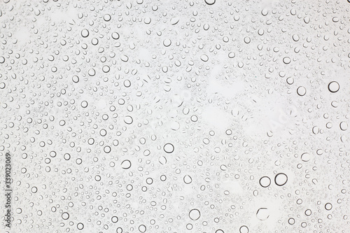 Wallpaper Mural Rain droplets on glass background, Water drops on glass. Torontodigital.ca