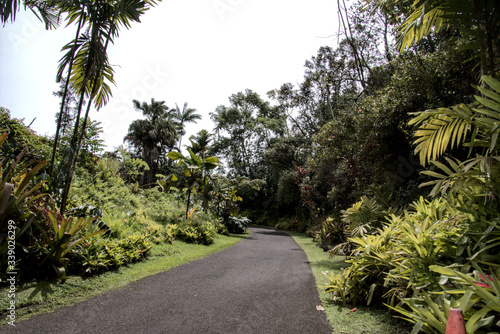 Hawaiian Road