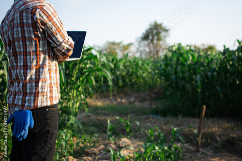 Gardeners check soil conditions for farming