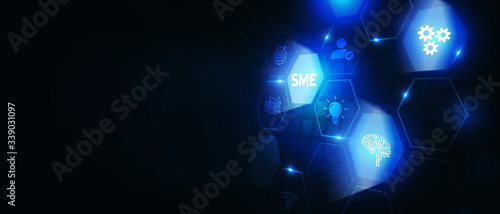 The concept of business, technology, the Internet and the network. A young entrepreneur working on a virtual screen of the future and sees the inscription: SME © putilov_denis