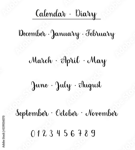Names of months and numbers for calendar or diary. Handwritten lettering vector elements isolated on white background. Brush calligraphy style.