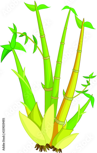 Cool Green Yellow Bamboo Tree Cartoon Vector Illustration 