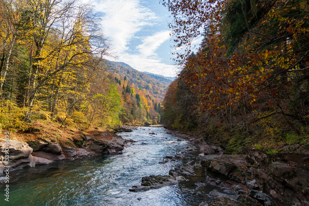 Clean mountain river in the autumn forest. Clean mountain river in the autumn forest.