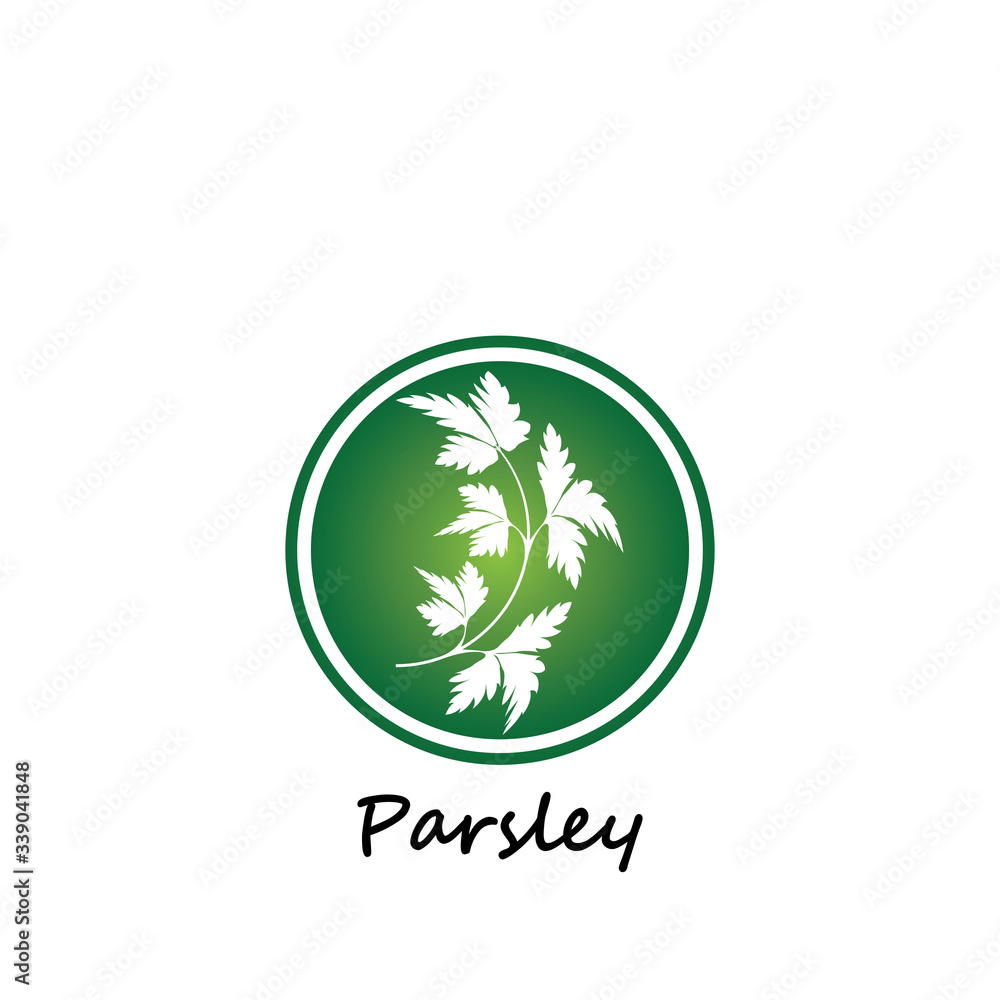 Green parsley twig, shoot, sprig. Icon Isolated on white. Logo for eco company, agriculture, nature firm, ecology, healthy organic and farm fresh food. Vector Illustration. kitchen herbs Green parsley twig, shoot, sprig. Icon Isolated on white. Logo for eco company, agriculture, nature firm, ecology, healthy organic and farm fresh food. Vector Illustration. kitchen herbs