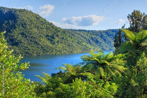 Beautiful Lake Rotokakahi  Green Lake  in the Rotorua area  New Zealand. Its peaceful waters are surrounded by native forest