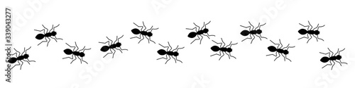 Insect Insects ant ants emmet pismire banne.r Vector