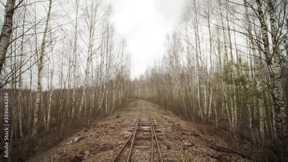 Abandoned narrow gauge railway in the forest, autumn day Abandoned narrow gauge railway in the forest, autumn day