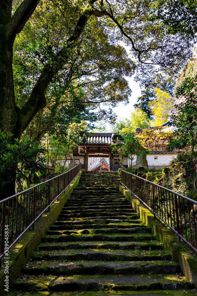 Stone steps to the gate of Tamonin temple in Kato, Hyogo, Japan