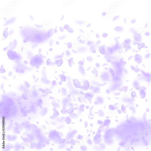 Wallpaper Mural Violet flower petals falling down. Wondrous romant Torontodigital.ca