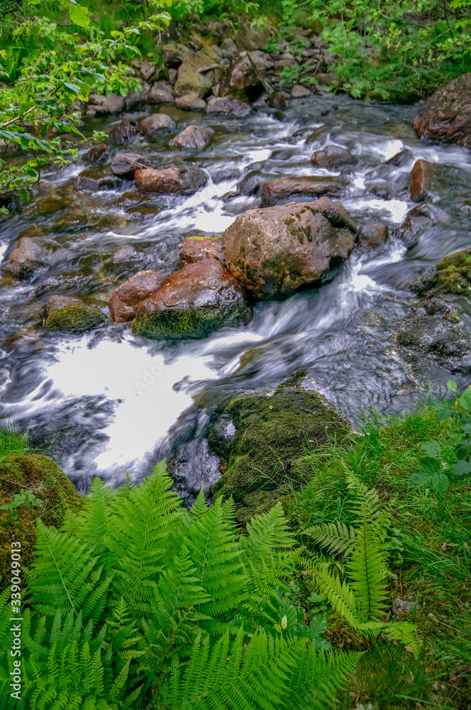 Fast flowing rocky stream in the Lake district Cumbria England Fast flowing rocky stream in the Lake district Cumbria England