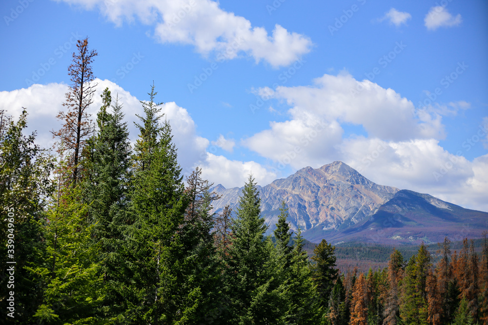 カナダの森と山