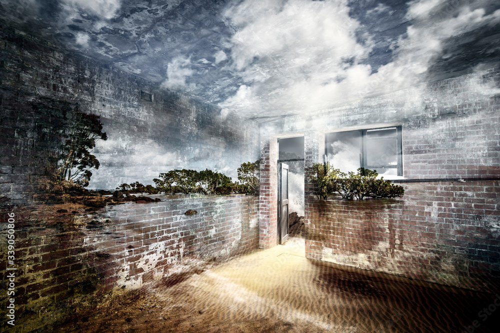 Obraz premium In isolation during Covid-19 dreaming of the outside world