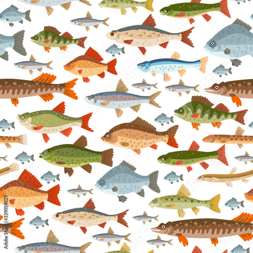 Seamless freshwater fish pattern. A vector seafood