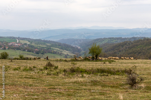 landscape with mountains and sheeps