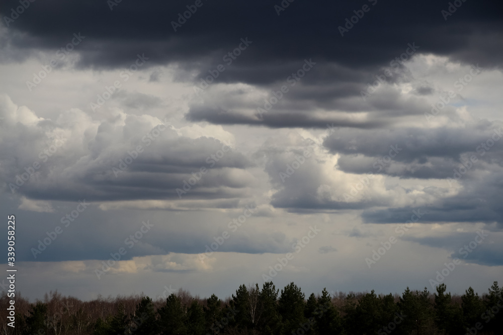 Dark grey rainy cumulus clouds above forest in the evening. Rain theme in the weather forecast.