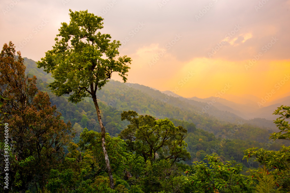 Obraz premium Tropical forest with mountains and majestic orange sky and clouds. Camping site at Maewong National Park, Nakhonsawan, Thailand.