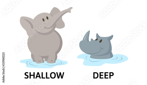 Words deep and shallow textcard with cartoon elephant and rhino characters. Opposite adjectives explanation card. Flat vector illustration, isolated on white background.
