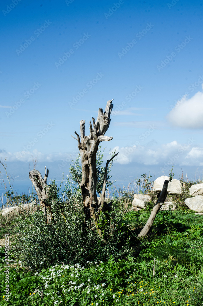 landscape photography national park Italy
landscape photography national park Italy