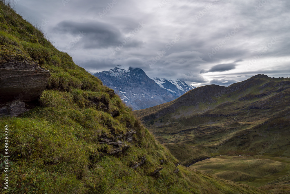 Overlooking a mountain valley landscape in the alpine region of Grindelwald, Switzerland
Overlooking a mountain valley landscape in the alpine region of Grindelwald, Switzerland