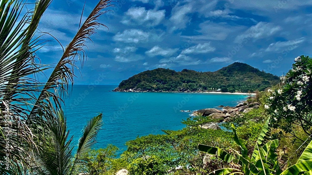 view of the ocean, green trees, palm leaves, large stones against a blue sky with white clouds, under the sun on a tropical island