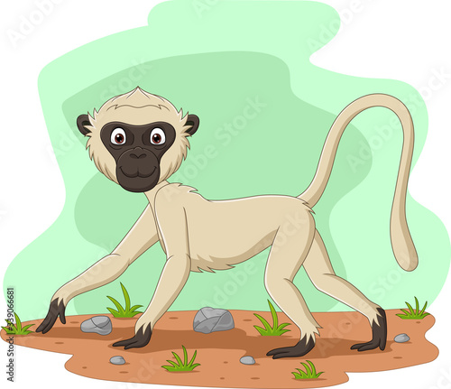Cartoon vervet monkey in the field