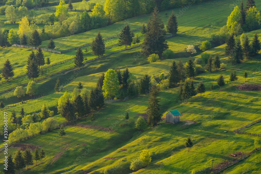 High angle view of green field with trees
