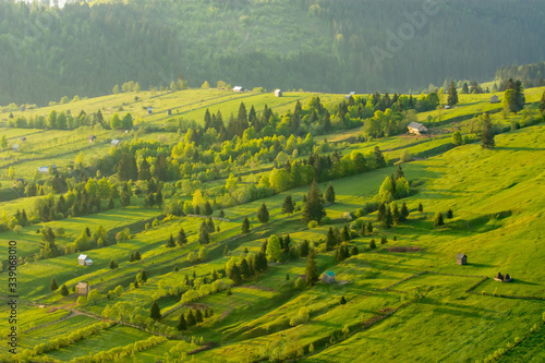 Landscape of green hills with houses and trees.