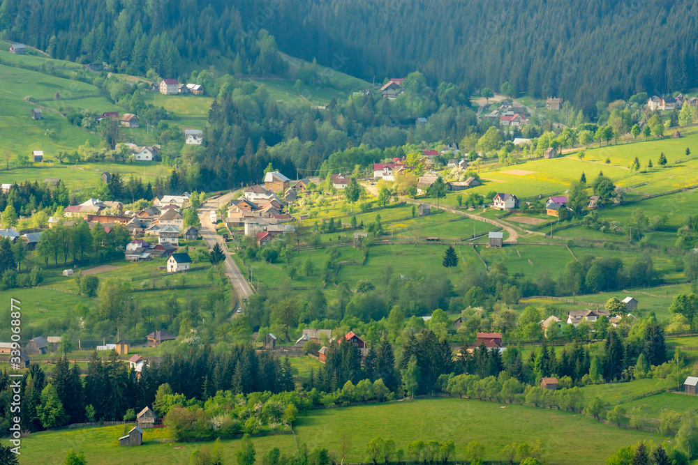 Beautiful village in a green mountain valley