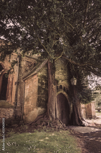 Fotografie St Edwards Church in Stow on the Wold with two old trees growing either side of