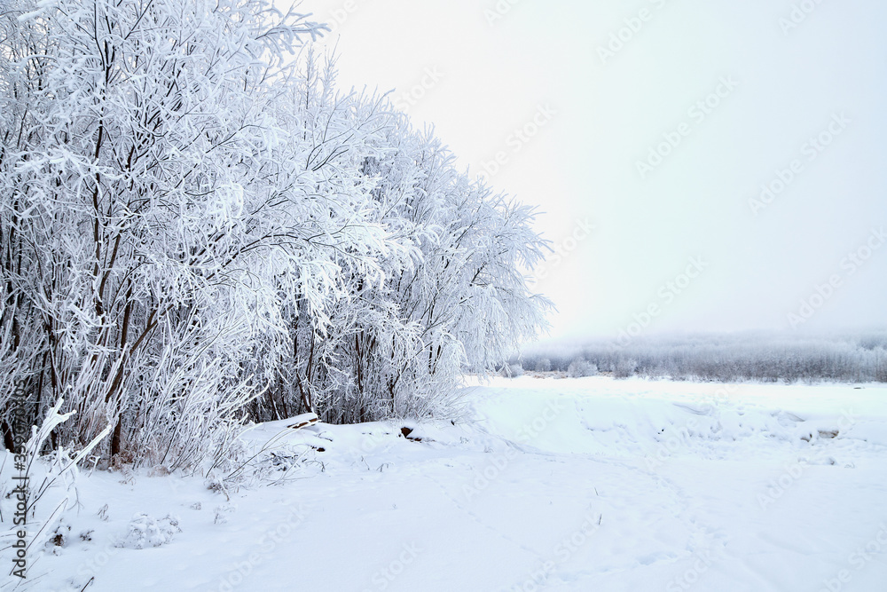 Landscape with tree in the foreground and field in the distance on a winter day Landscape with tree in the foreground and field in the distance on a winter day