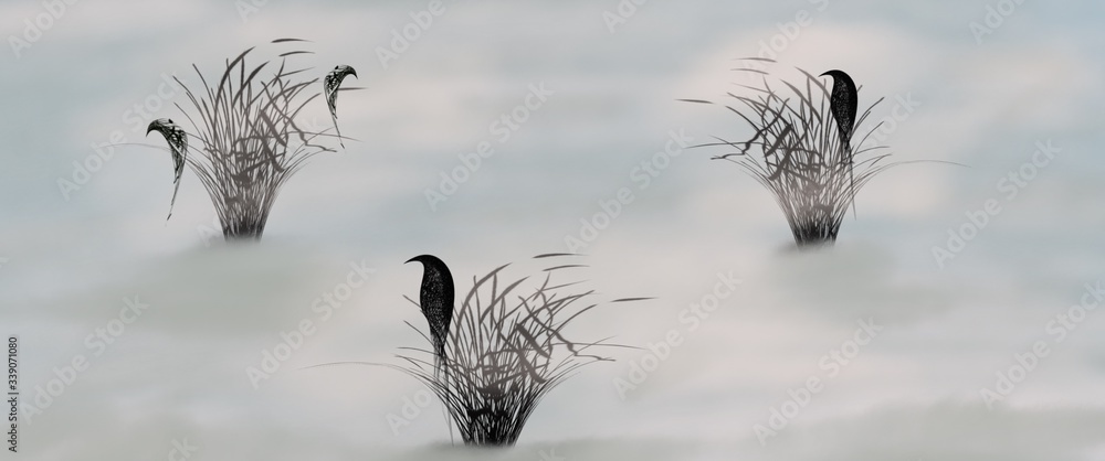 Obraz premium frost on grass silhouette bird on grass illustrations .Black and white Black bird On a branch art abstract Summer background