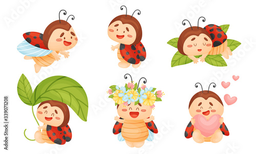 Cartoon Ladybug Sleeping on Green Leaf and Holding Heart Vector Set