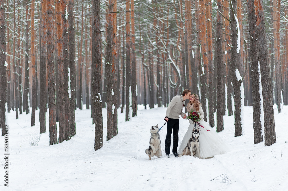 Cheerful bride and groom with two siberian husky are posed on background of snowy forest.