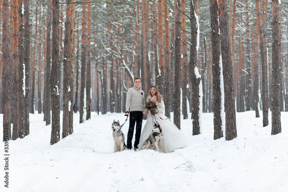 Cheerful bride and groom with two siberian husky are posed on background of snowy forest.