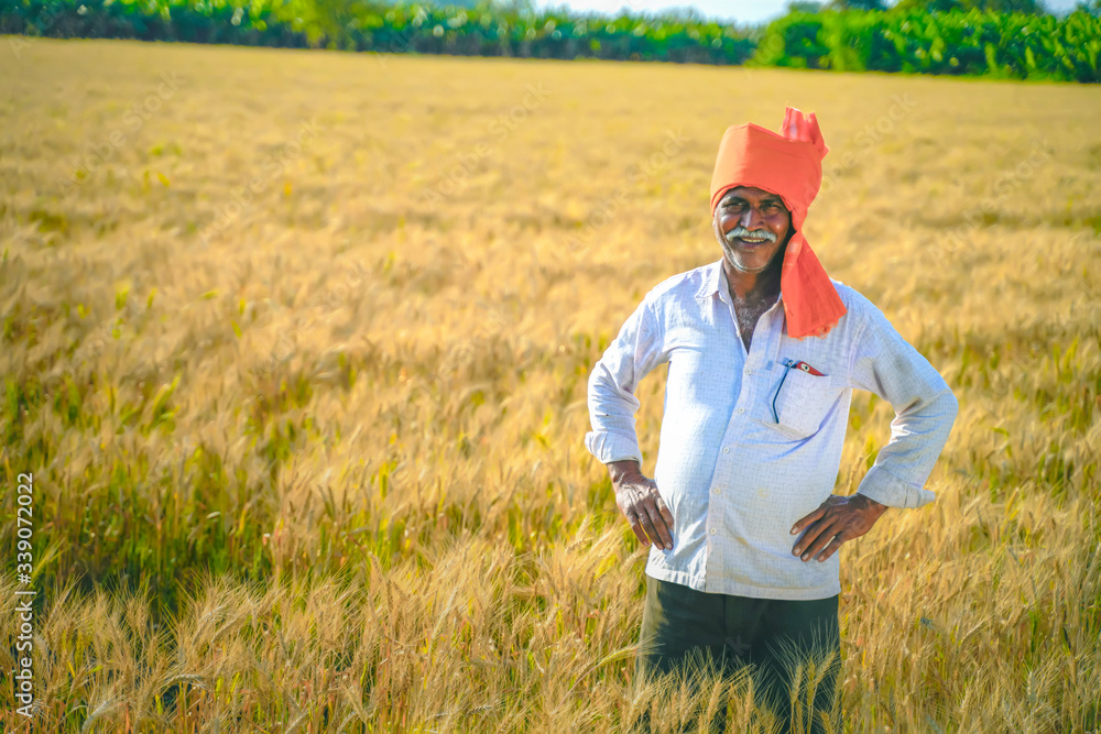 Young Indian farmer standing at wheat field Young Indian farmer standing at wheat field