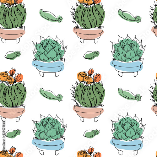 Seamless pattern of hand-drawn succulents - cactus and echeveria in flower pots. Linear vector sketch with colored spots on a white background. For wrappers, textiles, wallpapers