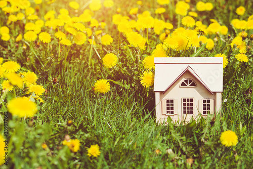  The symbol of the house stands among the yellow dandelions 