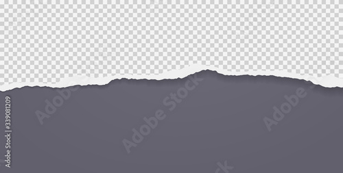 Piece of torn squared horizontal paper with soft shadow stuck on black background. Vector illustration