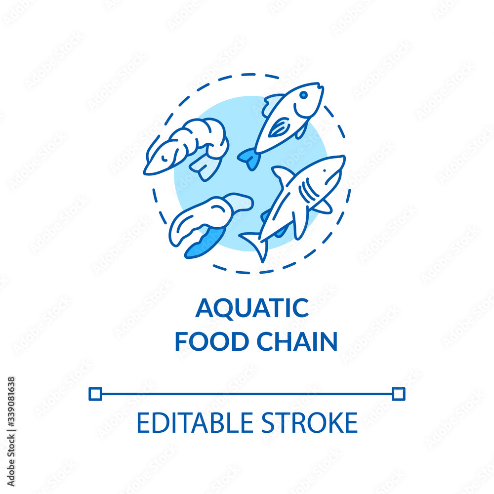 Fototapeta premium Aquatic food chain concept icon. Energy producer and consumers. Marine flora and fauna. Ocean ecosystem idea thin line illustration. Vector isolated outline RGB color drawing. Editable stroke