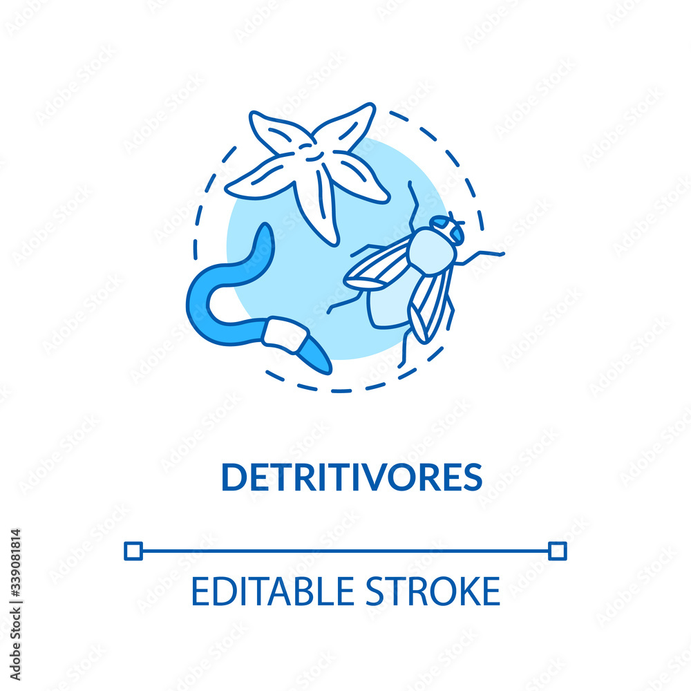 Detritivores concept icon Food chain energy consumer organisms Biology Diagrams