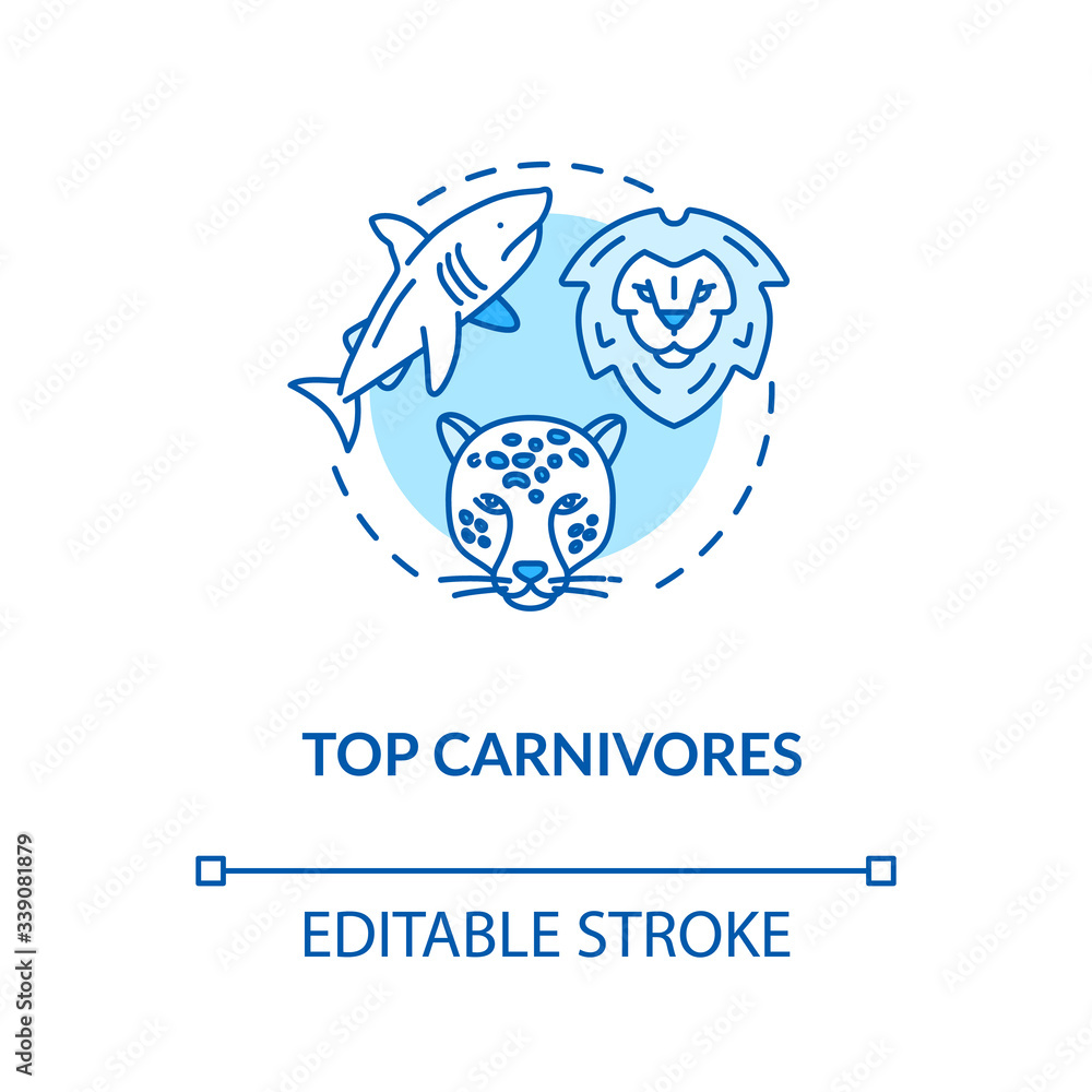 Top carnivores concept icon. Wild animals. Food chain apex predators.  Marine and land fauna idea thin line illustration. Vector isolated outline  RGB color drawing. Editable stroke Stock Vector | Adobe Stock