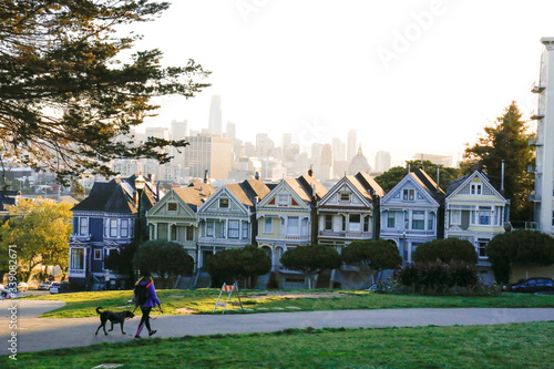 The Painted Ladies