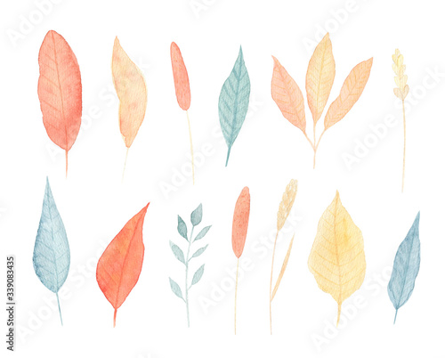 Watercolor leaves and flowers set. Warm colors autumn leaves isolated on white background. Perfect for wedding invitation, greeting card, seasonal sale, thanksgiving card. Aesthetic colors palette.