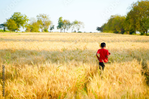 young indian child playing at wheat field, Rural india © PRASANNAPIX