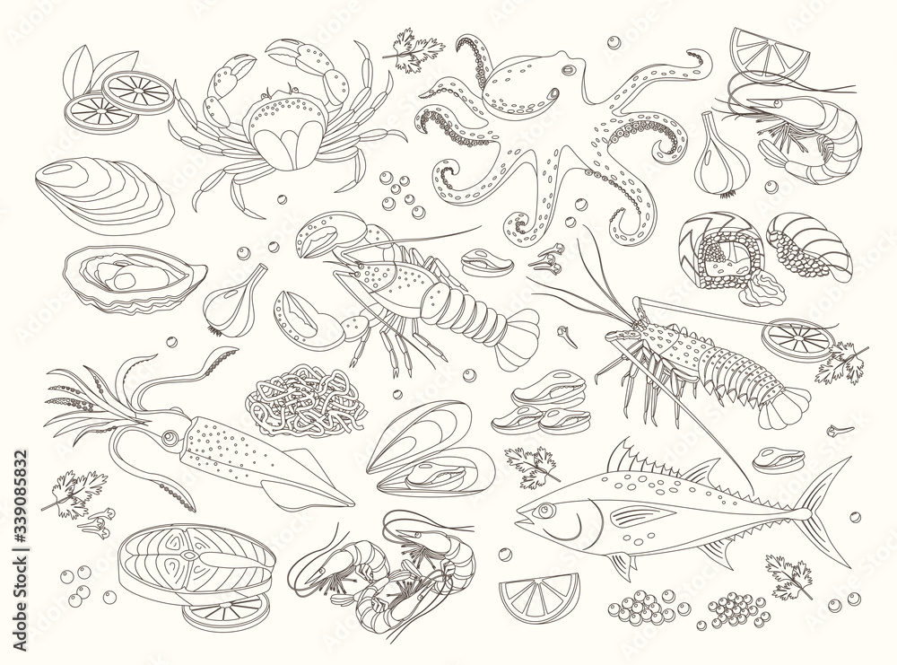 Seafood bid collection of line design elements, hand drawn vector graphics for menu template. Sea fish, sushi rolls, oysters, mussels, lobster, squid, octopus, crabs, prawns, salmon, shellfish, tuna.
