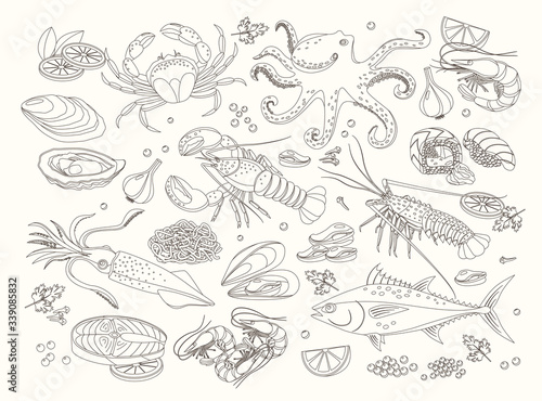 Seafood bid collection of line design elements, hand drawn vector graphics for menu template. Sea fish, sushi rolls, oysters, mussels, lobster, squid, octopus, crabs, prawns, salmon, shellfish, tuna.