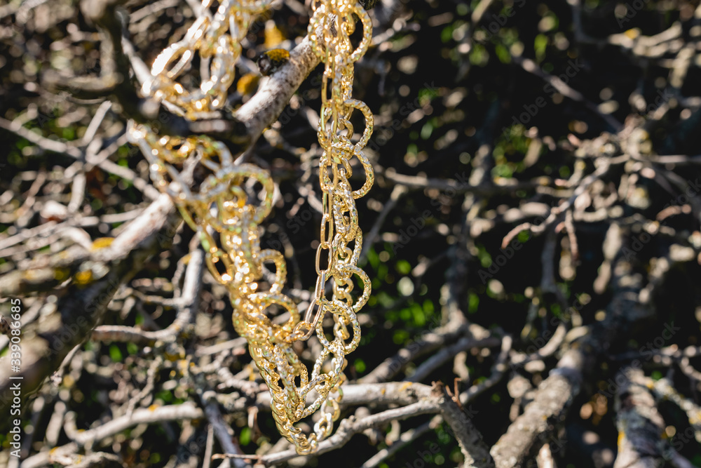 Fototapeta premium This season, multi-tiered chains of different types and sizes are fashionable. Faceted Golden links of the metal alloy dry hanging on the branches, bark and wood from the elements of nature. Details