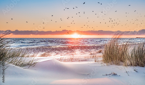 Fototapeta Naklejka Na Ścianę i Meble -  traumküste