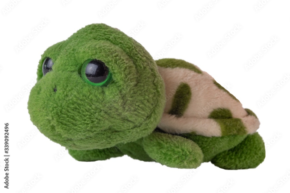 Fototapeta premium green turtle soft toy close-up isolated on white background