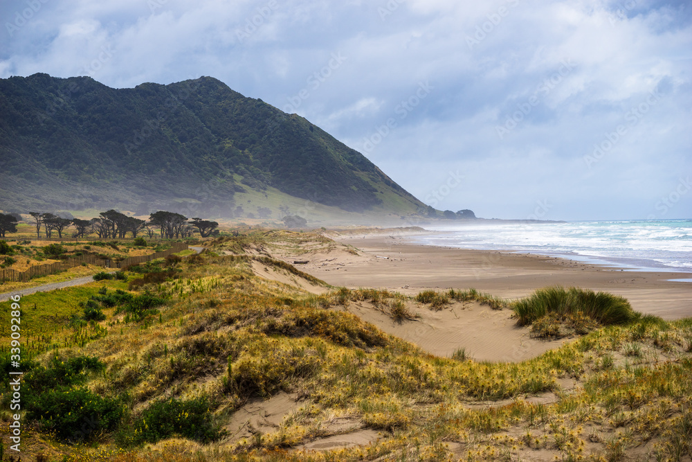 Traum Landschaft am Ende der Welt, in Neuseeland ohne Menschen, perfekter Strand Traum Landschaft am Ende der Welt, in Neuseeland ohne Menschen, perfekter Strand